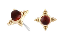 Load image into Gallery viewer, GoldyLuxe · Shandy
