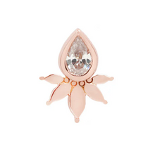 Load image into Gallery viewer, Buddha Organics · Lavish
