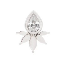 Load image into Gallery viewer, Buddha Organics · Lavish
